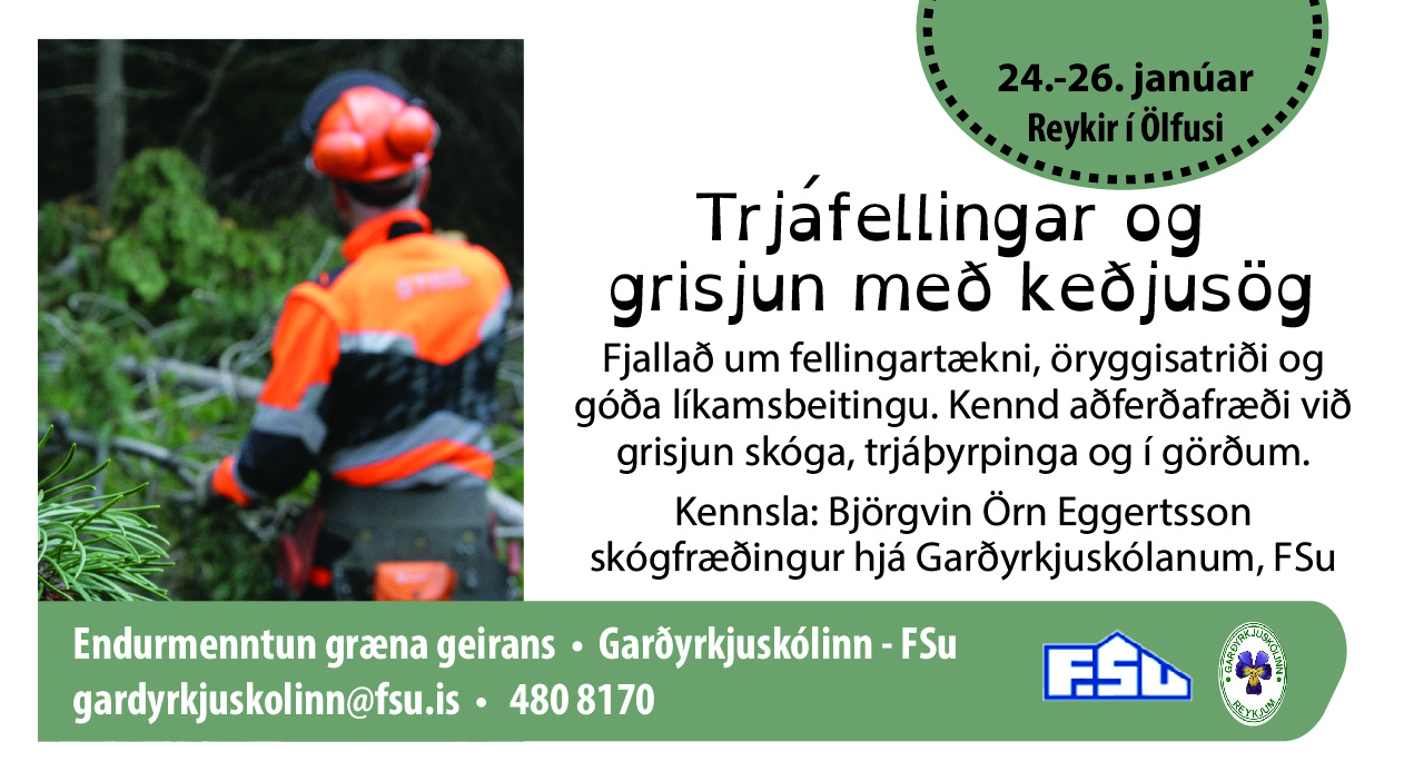 Trjáfellingar Reykjum námskeið