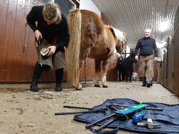 Verkleg kennsla á hestabraut