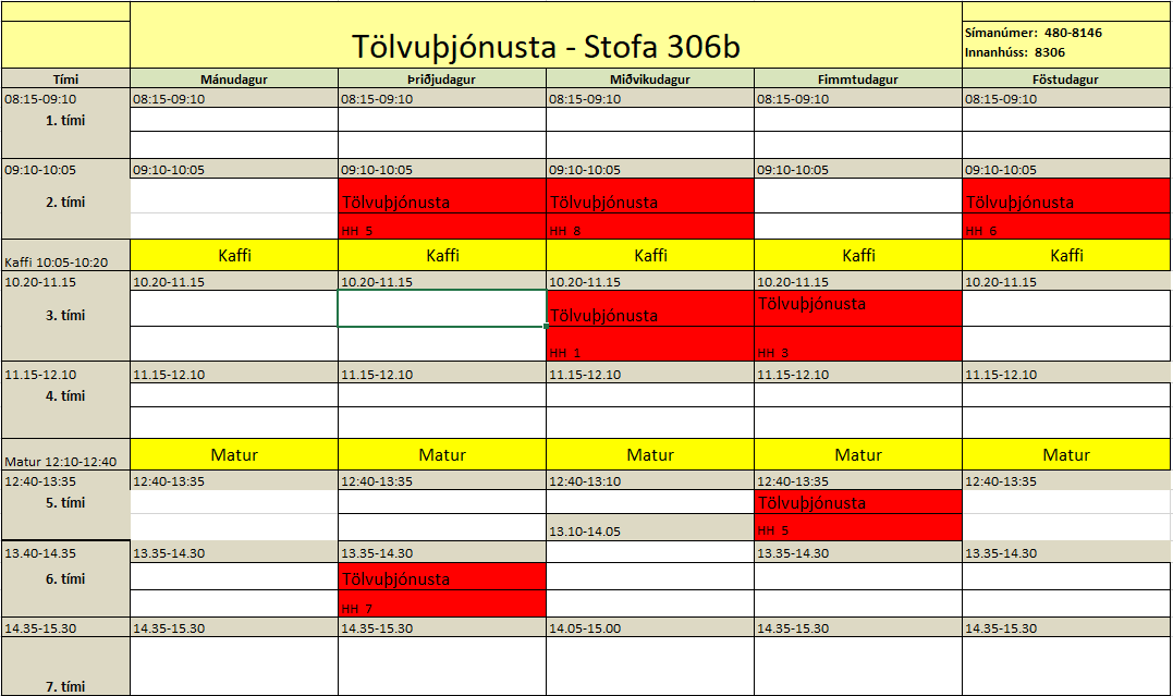 Tölvuþjónustutímar