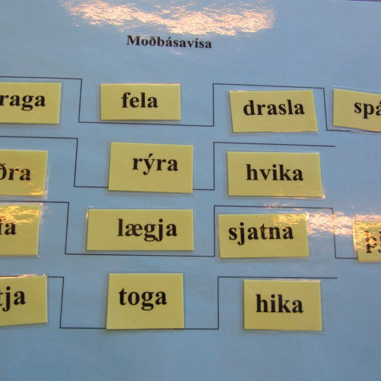 30afmaeli2011img030jpg