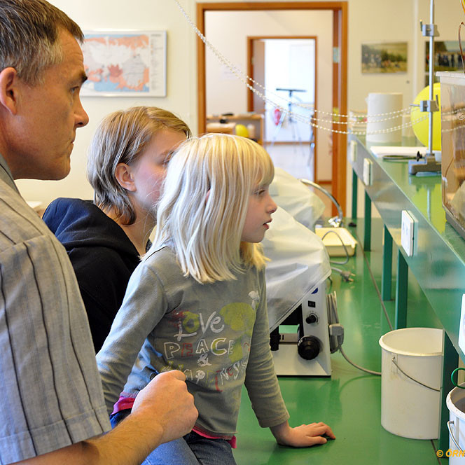 30afmaeli2011img048jpg