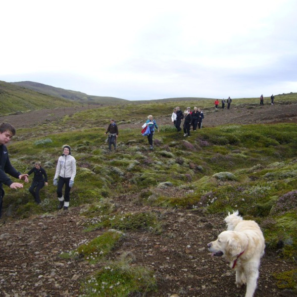 bjarnarfell2011bjarnarfell-2-sept-018jpg