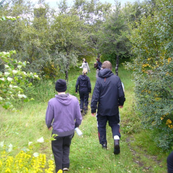 bjarnarfell2011bjarnarfell-2-sept-029jpg