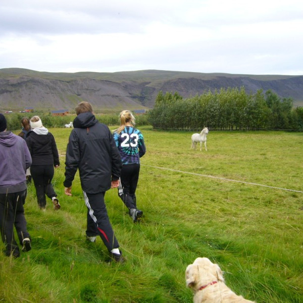 bjarnarfell2011bjarnarfell-2-sept-030jpg