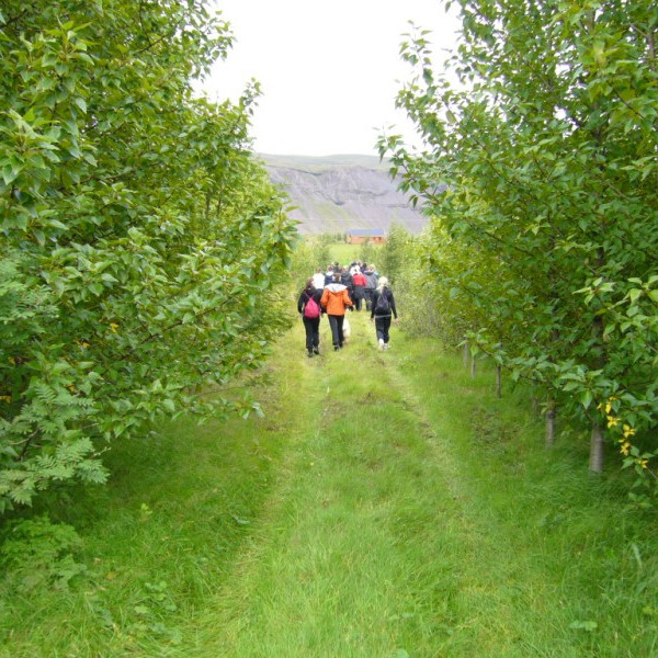 bjarnarfell2011bjarnarfell-2-sept-031jpg