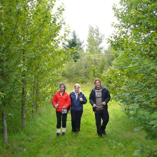 bjarnarfell2011bjarnarfell-2-sept-032jpg