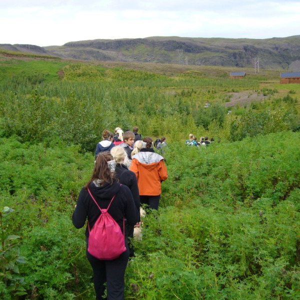 bjarnarfell2011bjarnarfell-2-sept-033jpg