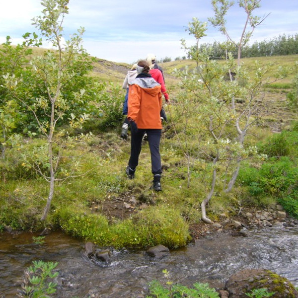 bjarnarfell2011bjarnarfell-2-sept-035jpg