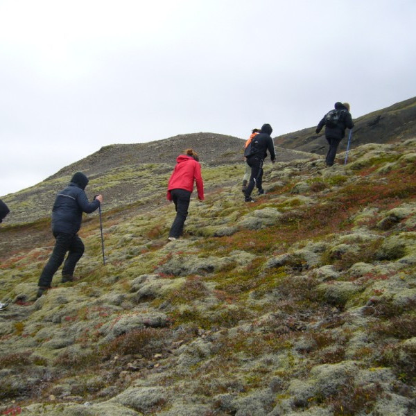 burfellh2011burfell002jpg