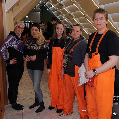 floafar2012_nem31jpg