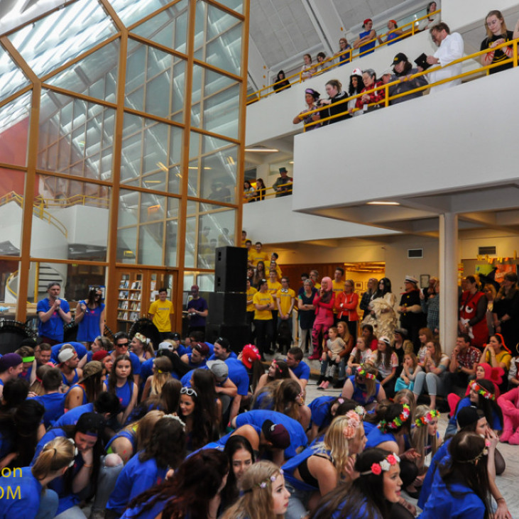 floafar2015floafar-86jpg