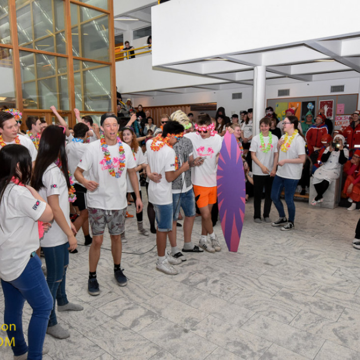 floafar2016floafar-114jpg