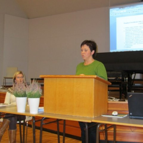 foreldrarad2011mg_4551jpg