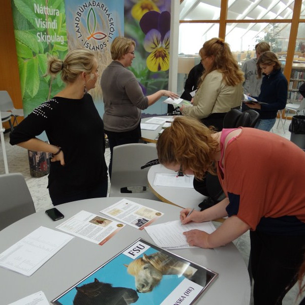 idnnamsdaguridndagur035jpg