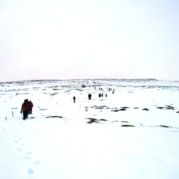 ingolfsfjall2009ingolfsfjall-013jpg