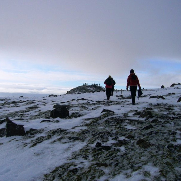 ingolfsfjall2009ingolfsfjall-014jpg