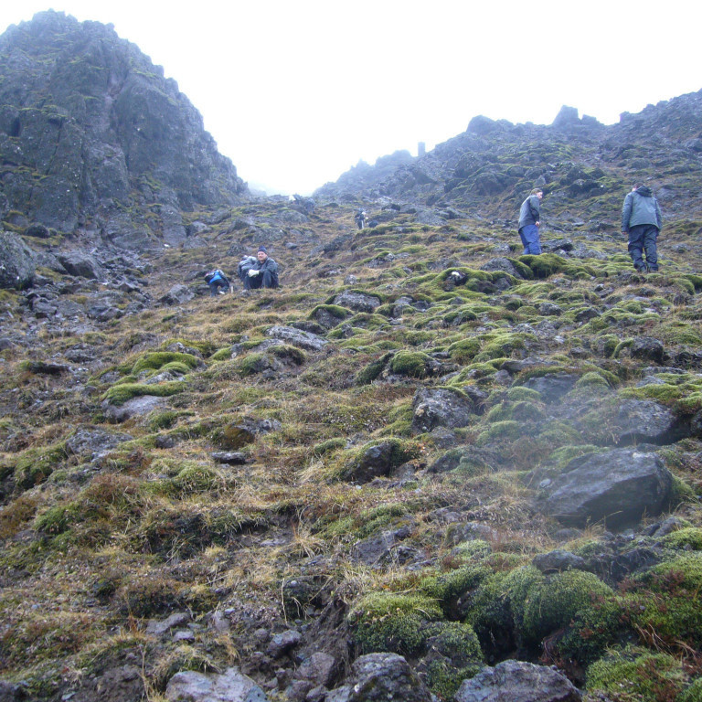 ingolfsfjall2010005jpg