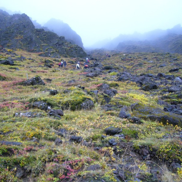 ingolfsfjallh2011ingolfsfjall007jpg