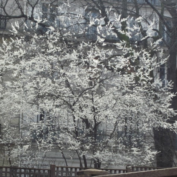 parisv2013img_0848jpg