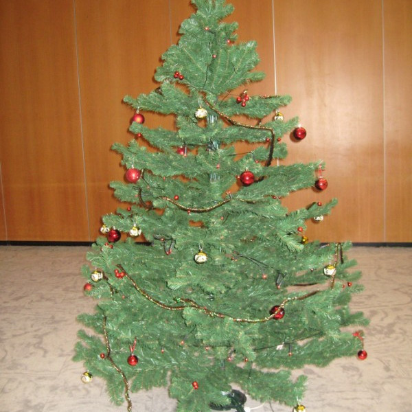 rjomaglogg2008img_8395jpg