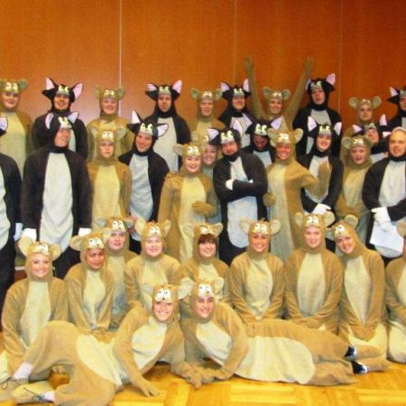 Kattafár og músagangur í FSu