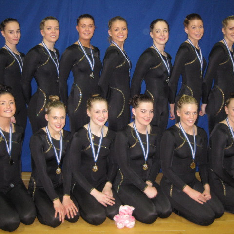 Fimleikastúlkur náðu silfri