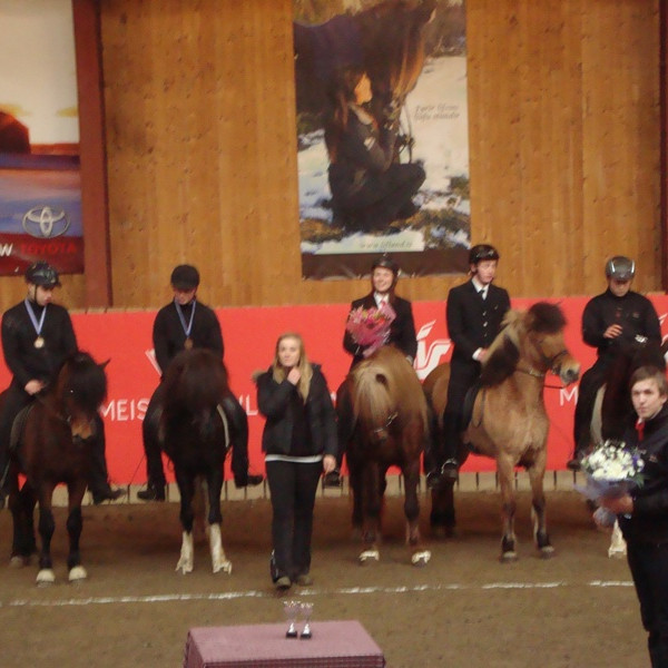 Úrslit í hestaíþróttum