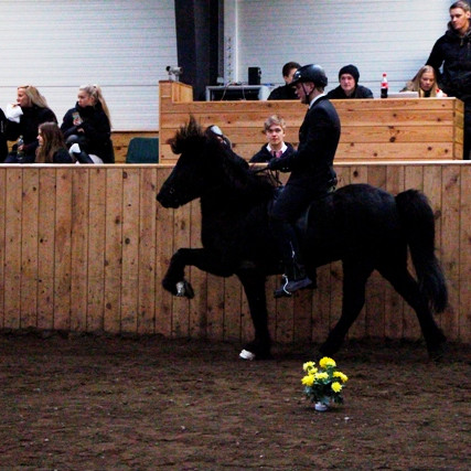Sigur FSu  í framhaldsskólamóti í hestaíþróttum