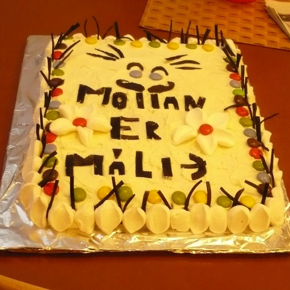 Mottufaraldur í FSu