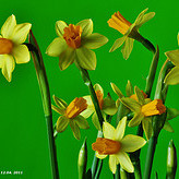 Páskafríííííí