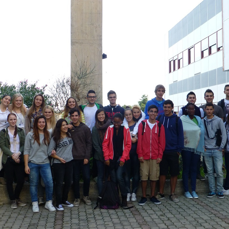 SUSI og sæskjaldbakan