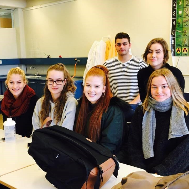 Nemendur í  umhverfisnefndinni: talið frá vinstri: Sesselía Hansen, Sveindís Auður Rafnsdóttir, Andr…