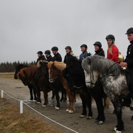 Vetrarleikar FSu 2013