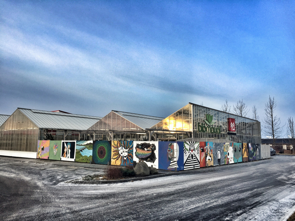 Verk nemenda í veggjalist prýða nú umhverfi Húsasmiðjunnar og Blómavals.