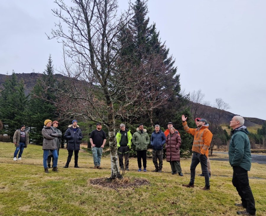 Nemendur skoða tré