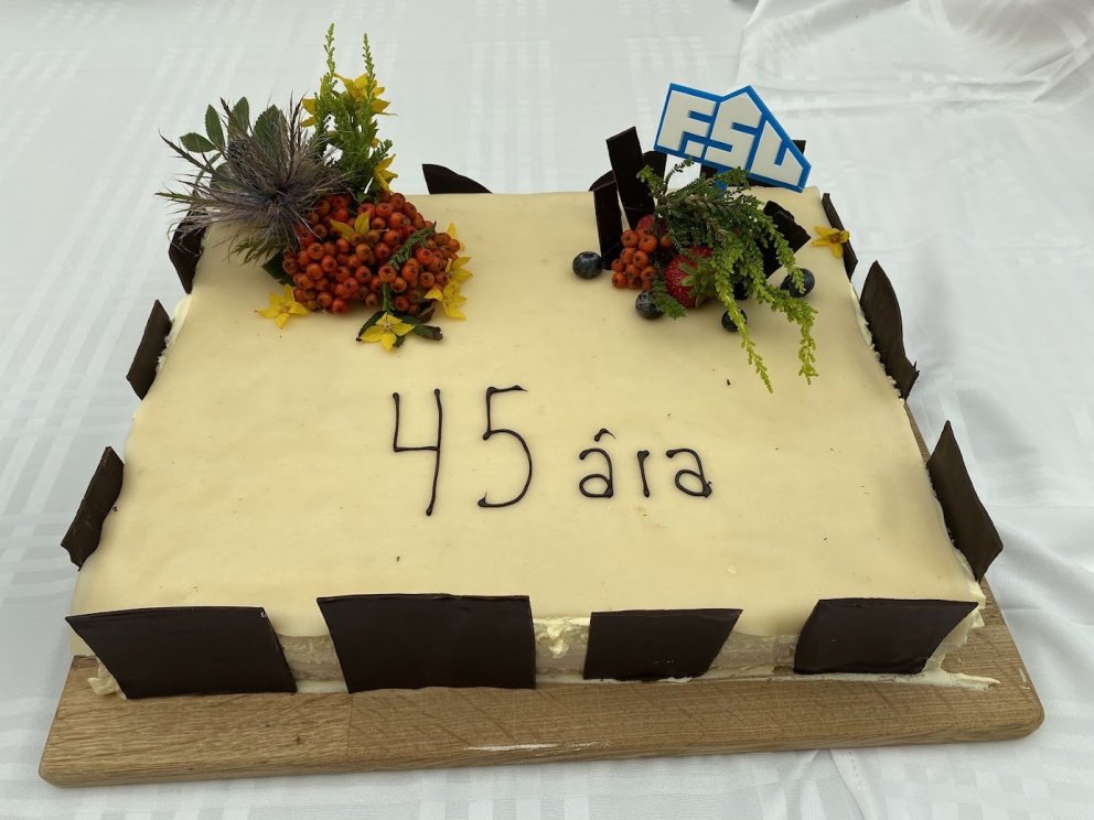 SKÓLASTARF Í 45 ÁR