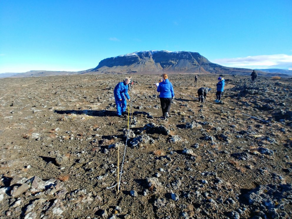Nemendur í uppgræðsluverkefni í Merkurhrauni.