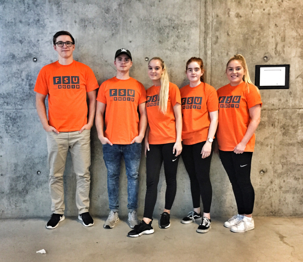 Boxlið FSu 2017.
