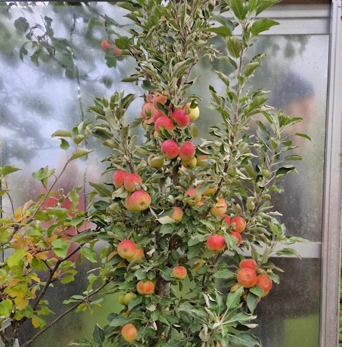 Rausnarlegar gjafir til skólans