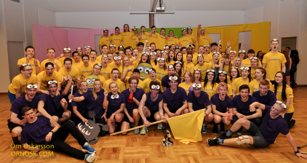 Minions (litlu gulu kallarnir) unnu Flóafár!