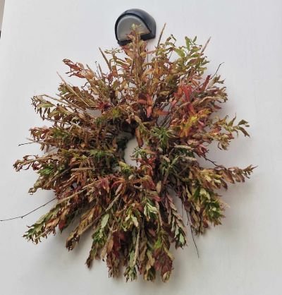 Haustgleði hjá nemendum blómaskreytingabrautar