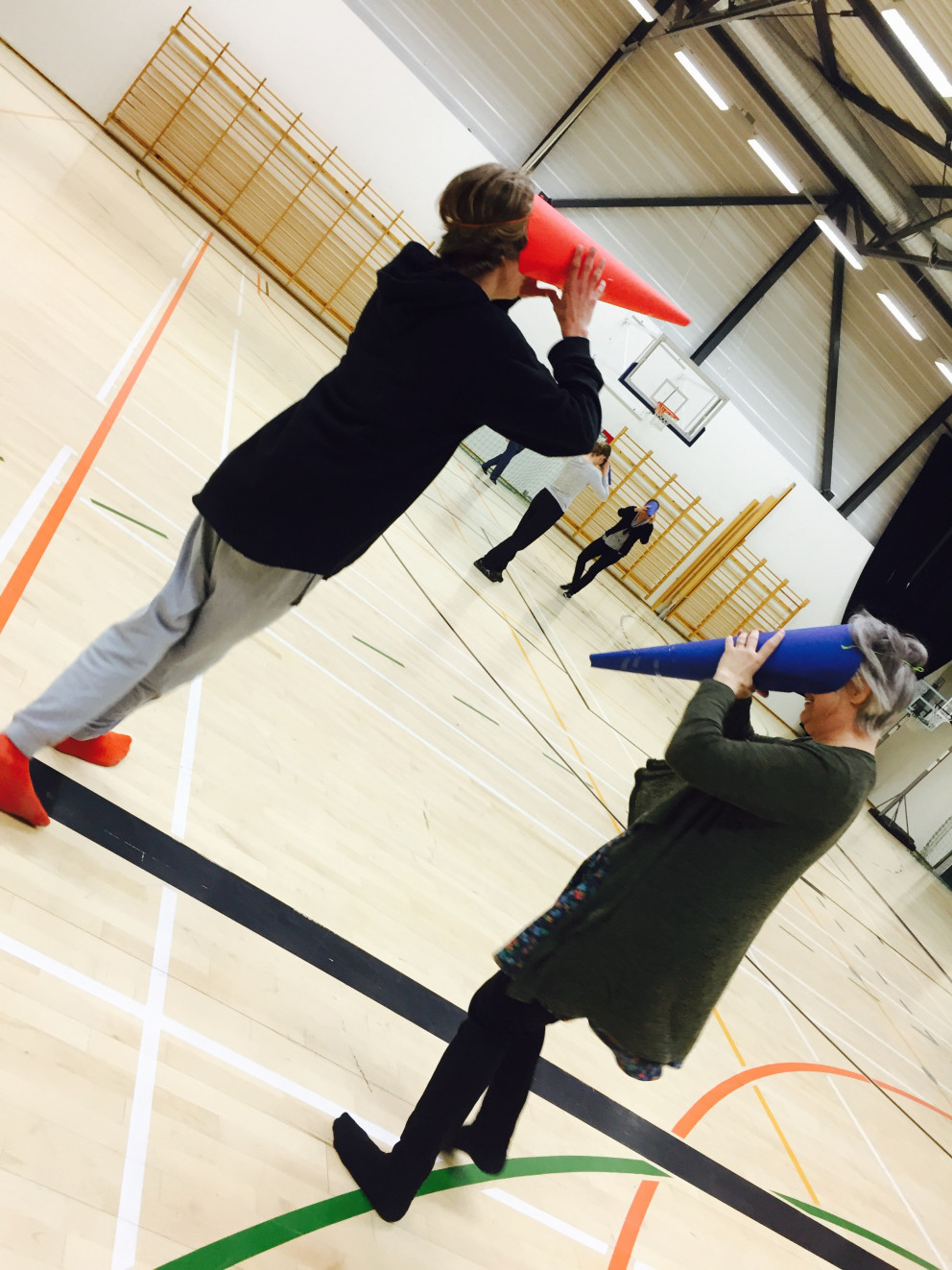 Strútabolti í Braga.