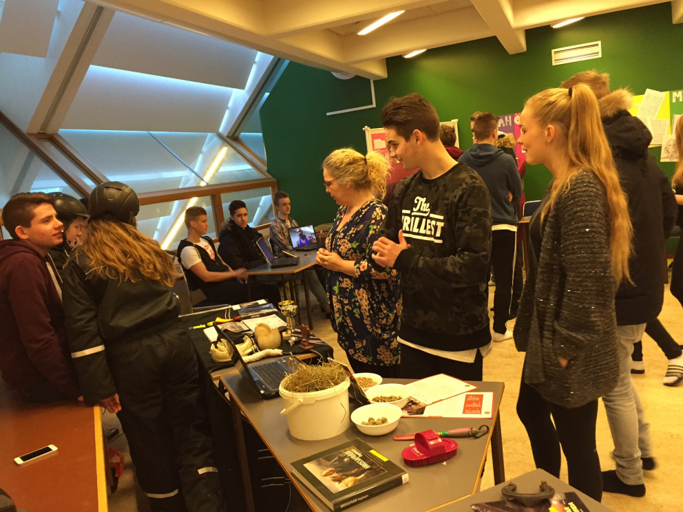 Kynning á áhugamálum í lífsleikni