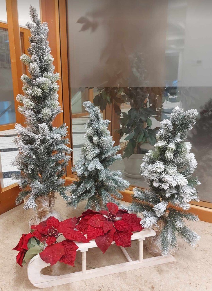 Dagskrá og opnunartími næstu vikna