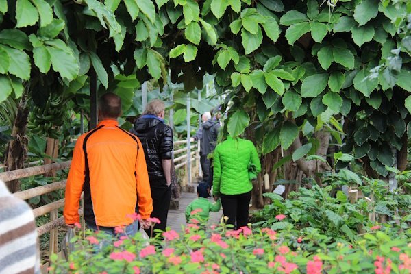 Sumardagurinn fyrsti í Garðyrkjuskólanum