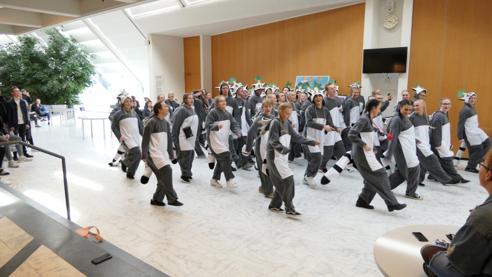 Þeir fíla dilla dilla - klárar klæddir sem Júlli kóngur dansa.