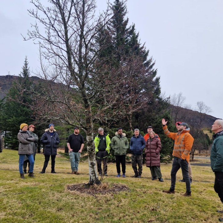 Nemendur skoða tré