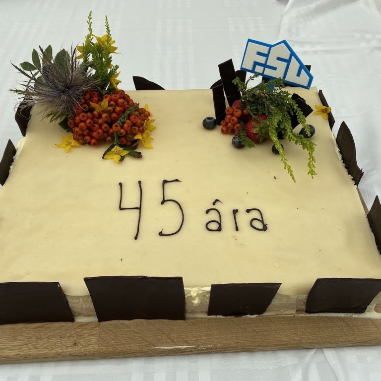 SKÓLASTARF Í 45 ÁR