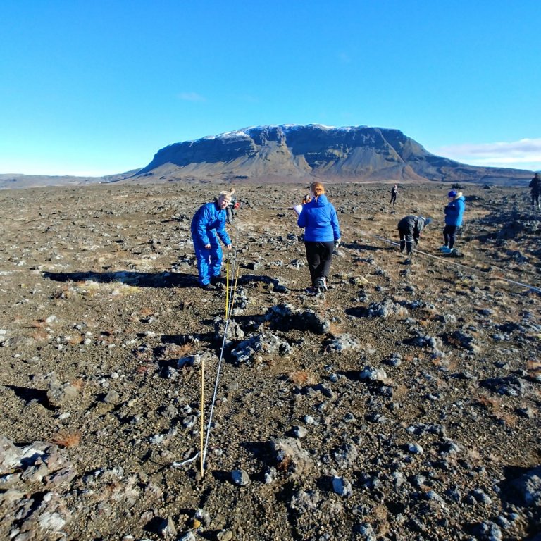 Nemendur í uppgræðsluverkefni í Merkurhrauni.