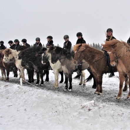 Vetrarleikar FSu. Tíu efstu knapar í töltkeppni.